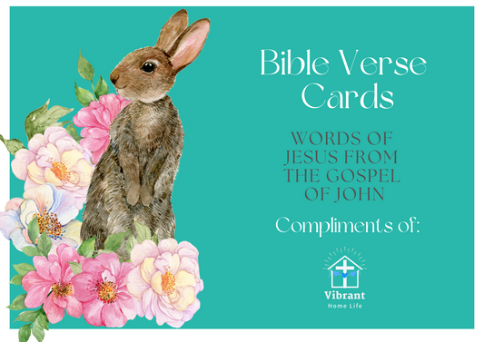 Bible Verse Memory Verse Cards- Words of Jesus from the Gospel  of John